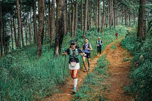 BIB: 
                            <button type="button" onclick="openModal(25692282)" class="btn btn-primary btn-sm float-right btn-popup" data-toggle="modal" data-target=".modal-high-quality">
                        <i class="fas fa-shopping-cart"></i> Add to Cart
                    </button>
                                            <button type="button" onclick="isThisMe(25692282, true)" class="btn btn-success btn-sm float-right btn-popup btn-isme hidden" data-toggle="tooltip" data-placement="bottom" title="นี่คือรูปของคุณใช่ไหม คลิกที่นี่เพื่อเอาเข้าอัลบั้ม">
                        <i class="fas fa-plus"></i> Add to album
                    </button>
                    <button type="button" onclick="isThisMe(25692282, false)" class="btn btn-warning btn-sm float-right btn-popup btn-isnotme hidden">
                        <i class="fas fa-ban"></i> Remove from album
                    </button>